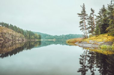 Göl, çam ağaçları, Rusya'nın Kuzey Karelya Cumhuriyeti, Ladoga, bölgedeki doğal taş Sahil güzel sonbahar manzara. Sonbahar orman, Rus turizm ve seyahat kavramı.