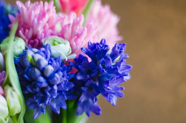 Giacinto fiore primaverile in bouquet macro morbido — Foto Stock