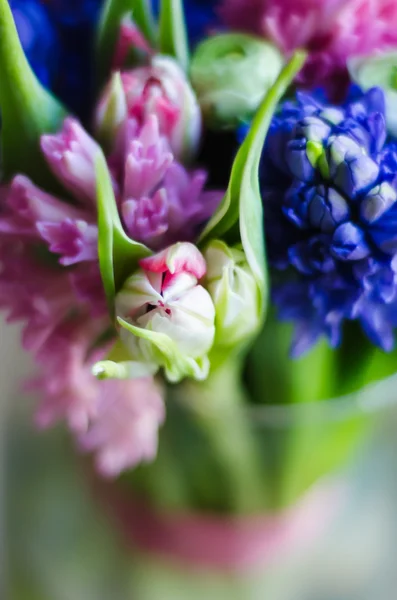 Tulipano di fiore di primavera in mazzo macro morbido — Foto Stock