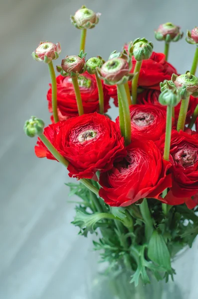 Colorato bouquet rosso di fiori ranuncolo primavera su vaso Immagine Stock