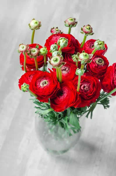 Colorato bouquet rosso di fiori ranuncolo primavera su vaso Fotografia Stock