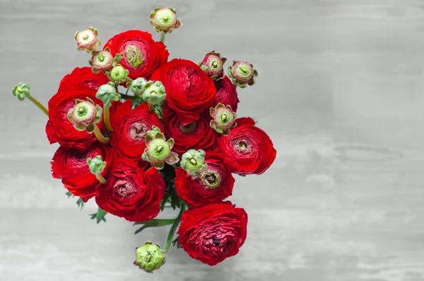 Colorato bouquet rosso di fiori ranuncolo primavera Foto Stock Royalty Free