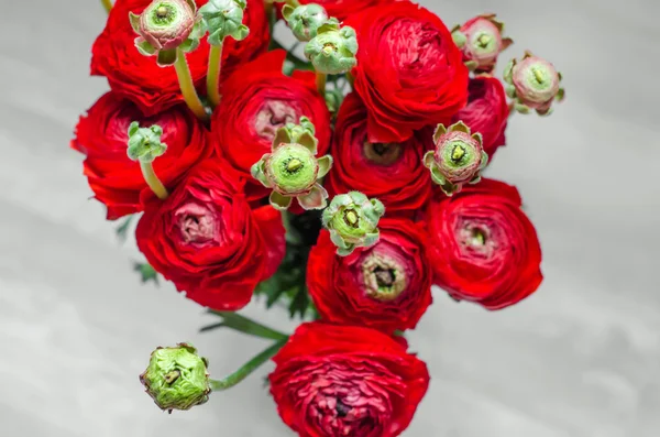 Colorato bouquet rosso di fiori ranuncolo primavera Foto Stock