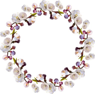  Çiçek desenli ve kayısı çiçekli. Bahar çiçekleri. (vektör illüstrasyonu)