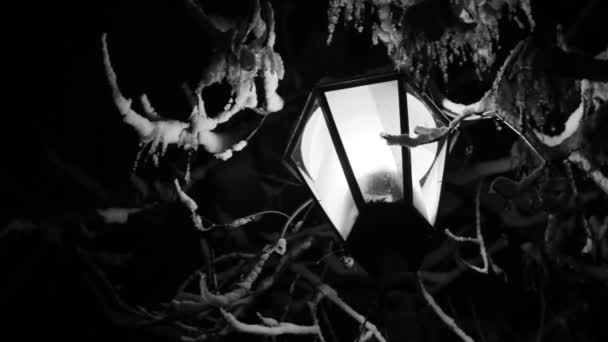 夜の冬街路灯雪が溶けて白黒映像 — ストック動画