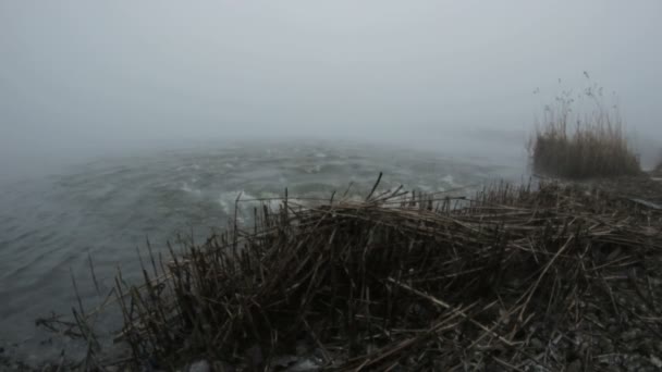 Agua hirviendo aguas termales en la niebla — Vídeo de stock