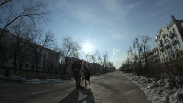 Велика собака доберман маючи весело і грає з людиною — стокове відео