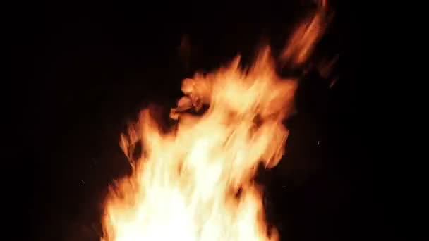 검은 배경에 고립 된 진짜 불, 루프 비디오 — 비디오