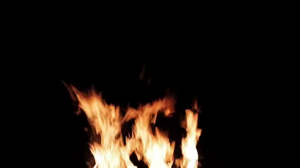 Real fire isolated on black background, loop video — Stock Video