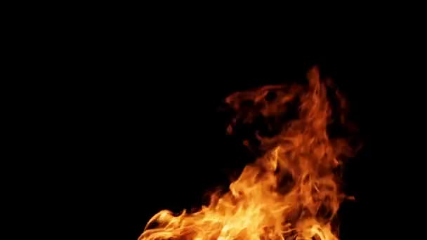 Πραγματική φωτιά απομονώνονται σε μαύρο βρόχο φόντο βίντεο — Αρχείο Βίντεο