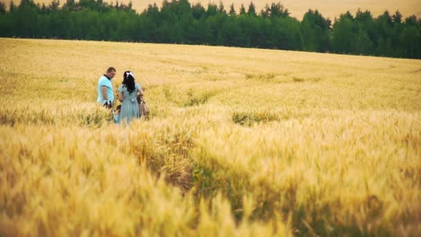 Familia con dos hijos están caminando por el campo amarillo — Vídeos de Stock