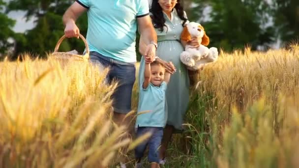Mama i tata wychowują syna trzymając się za ręce na polu pszenicy. — Wideo stockowe