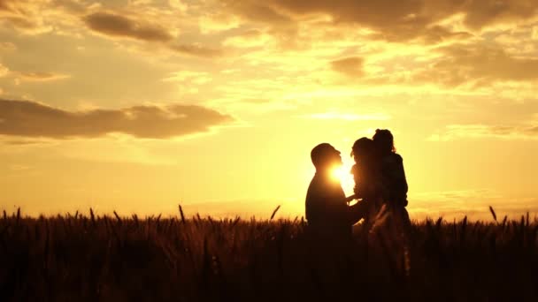 Siluety rodiny v pšeničném poli při západu slunce ve zpomaleném filmu — Stock video
