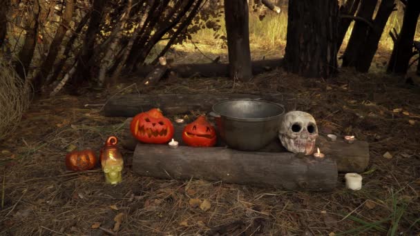 Abóboras, chaleira e o crânio estão no meio da cabana de madeira — Vídeo de Stock