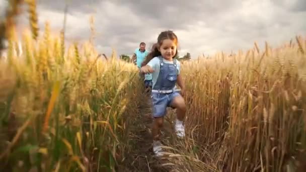 Menina está correndo no campo de trigo de verão e seus pais com o irmão estão indo logo atrás dela — Vídeo de Stock