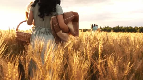 Una pareja con niños está caminando en un prado en busca de lugar para el picnic en cámara lenta — Vídeos de Stock