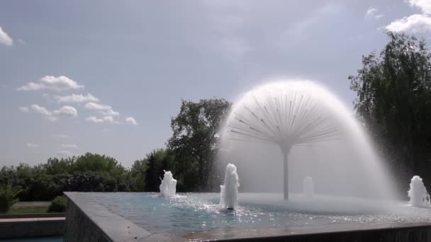 Bella fontana spruzzante in un parco durante l'estate a slowmo — Video Stock