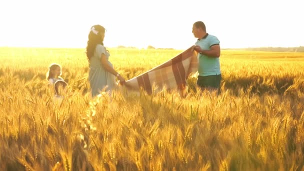 Mama însărcinată și tata țin pătura la câmpul de secară galbenă — Videoclip de stoc