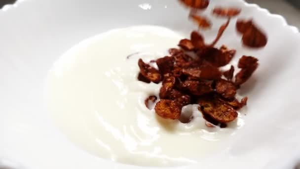 Макро-вид заливки шоколадных хлопьев в белую миску с молоком в замедленной съемке — стоковое видео