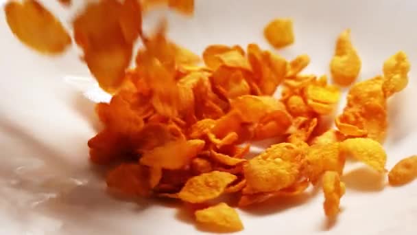 Häll läckra gula cornflakes i vit platta i makro och slow motion — Stockvideo