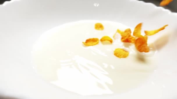 Желтые кукурузные хлопья бросают в миску с молоком вблизи и замедленным движением — стоковое видео