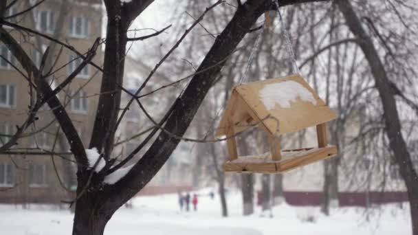 Caixa de alimentação vazia para pássaros está pendurada em um brunch de árvore em um quintal no fundo dos edifícios — Vídeo de Stock