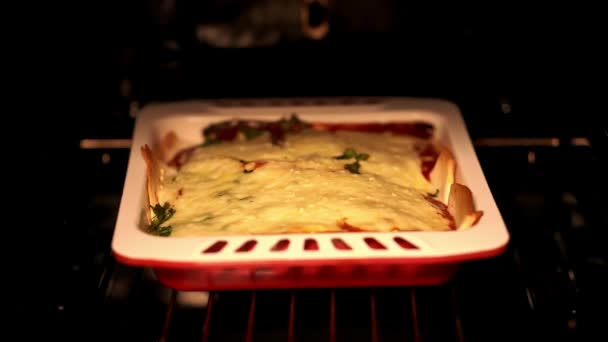 Há um prato de preparação com enchilada mexicana tradicional dentro do forno — Vídeo de Stock