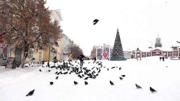 L'uomo disperdere un sacco di piccioni nel centro della città invernale, al rallentatore — Video Stock