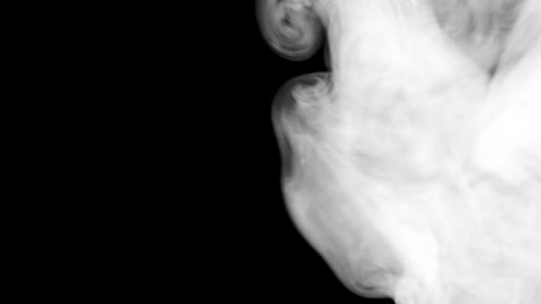 Белый дым на черном фоне замедленной съемки — стоковое видео