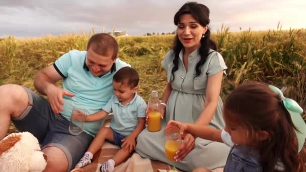 子供連れのご家族はライ麦畑のブランケットでジュースでグラスを持っています — ストック動画