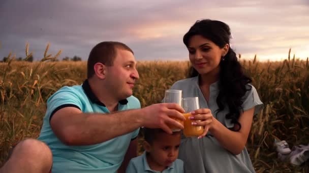 Casal feliz fazendo piquenique com seu filho em um campo de verão em slowmo — Vídeo de Stock