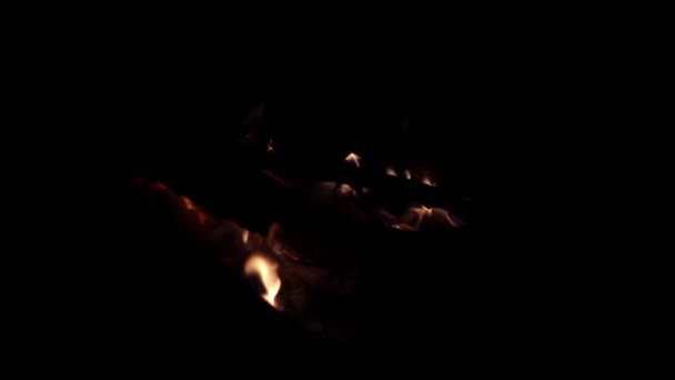 Closeup view of the burning bonfire at night time filmed in the slow motion — Stock Video