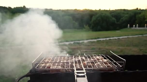 Крупный план жаровни с шашлыком, который готовится на природе в летний день — стоковое видео