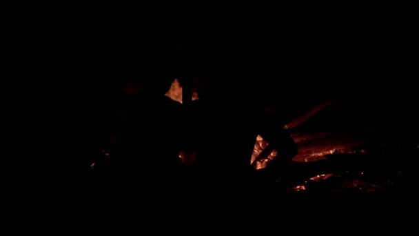 Два чоловіки стоять поруч з розбитим багаттям з палаючими колодами і розмовляють один з одним у повільному темпі — стокове відео