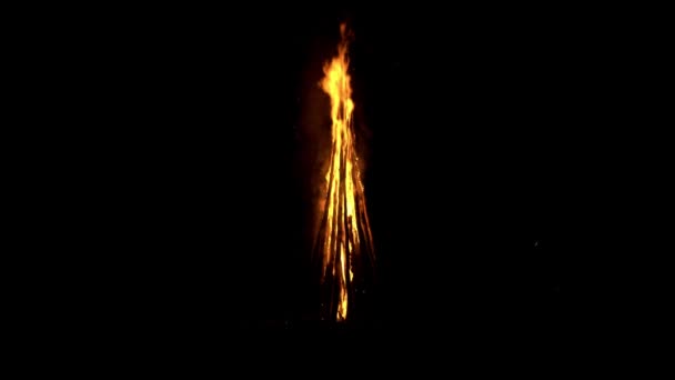 Huge bonfire made of timbers is burning in darkness at night time — Stock Video