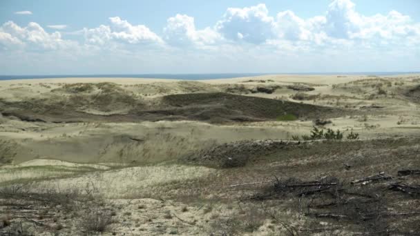 Paisagem de praia de areia com grama crescente e galhos deitados e mar azul no fundo — Vídeo de Stock