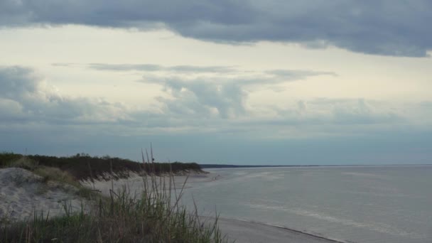 Сіре море і пляж з піщаними дюнами, покритими високою травою в похмуру погоду — стокове відео