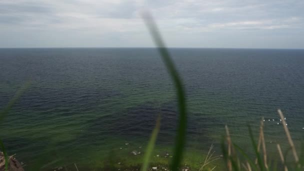 Vista pitoresca do mar com ondulações de um precipício e gaivotas voadoras — Vídeo de Stock