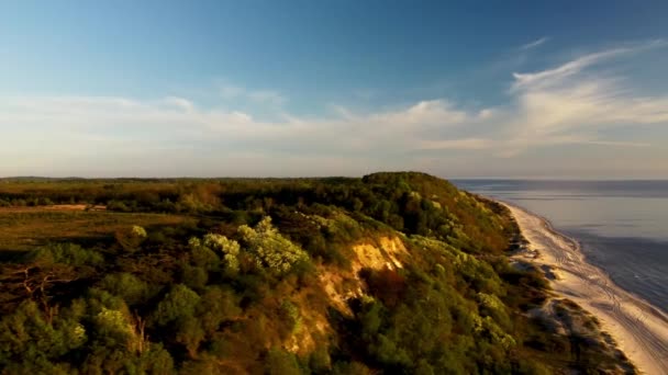 Luchtfoto drone uitzicht op Curonische spuug en de Baltische zee met heldere hemel over het gefilmd in warme zomerdag — Stockvideo