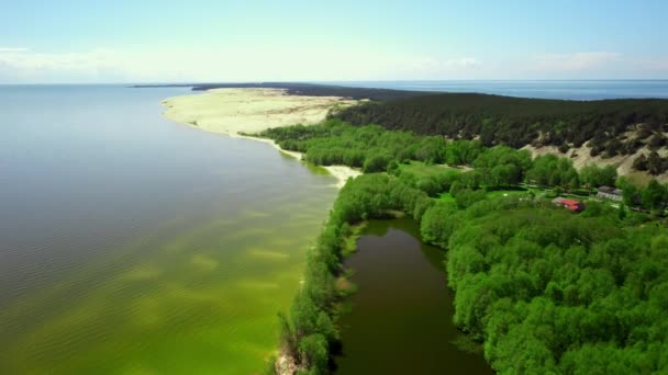 Waterbaai en groene kustlijn met klein dorp erop zijn gefilmd door drone op een zomerdag — Stockvideo