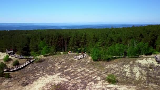 Зелений ліс і піщане узбережжя з дерев'яними доріжками і оглядовим майданчиком знімається зверху дроном — стокове відео