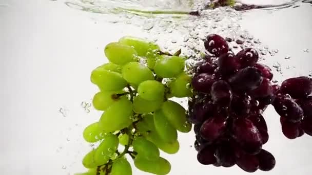 Uvas de vídeo em câmara lenta. Bando de uvas maduras estão imersas em água com bolhas. — Vídeo de Stock