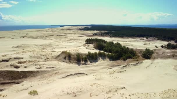 푸른 바다 근처에 있는 나무들이 있는 모래 언덕을 위에서 촬영한 드론 사진 — 비디오