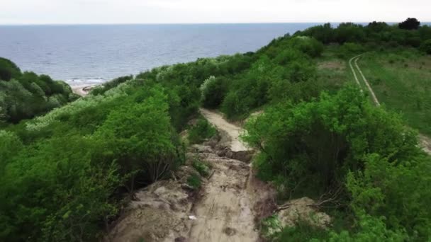 Paesaggio di una strada distrutta che conduce all'oceano con piante verdi in crescita dietro il precipizio — Video Stock