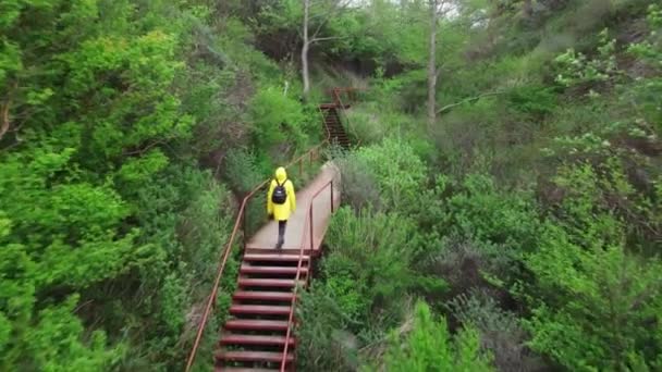 Mujer está caminando en una montaña subiendo escaleras entre árboles verdes filmados por drones — Vídeo de stock