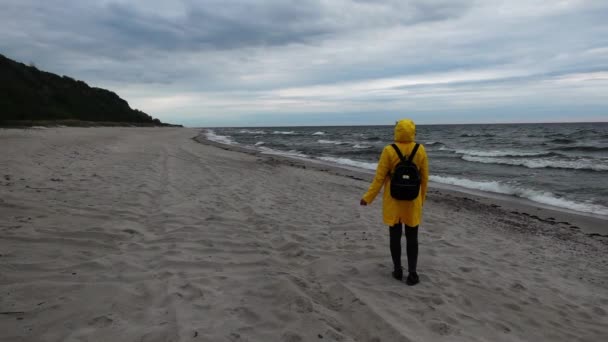 Вид сзади женщины в пальто, стоящей на песчаном пляже рядом с океаном и смотрящей на горизонт — стоковое видео