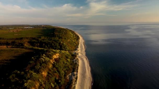 Paysage de l'immense crête couverte d'arbres et situé à côté de l'océan filmé d'en haut — Video