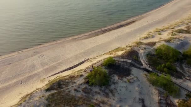 Sandstrand neben grünem Wald und blauem Meer mit Menschen wird von oben gefilmt — Stockvideo