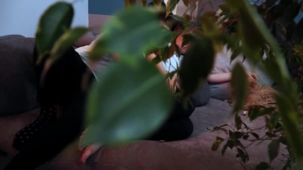 Hombre y mujer embarazada están acostados en un sofá y acariciando gato de pelo rojo — Vídeos de Stock