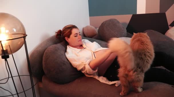 Bebek bekleyen kadın kanepede dinleniyor ve kırmızı tüylü kediyi okşuyor. — Stok video